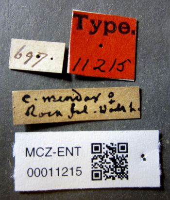 Media type: image;   Entomology 11215 Aspect: labels